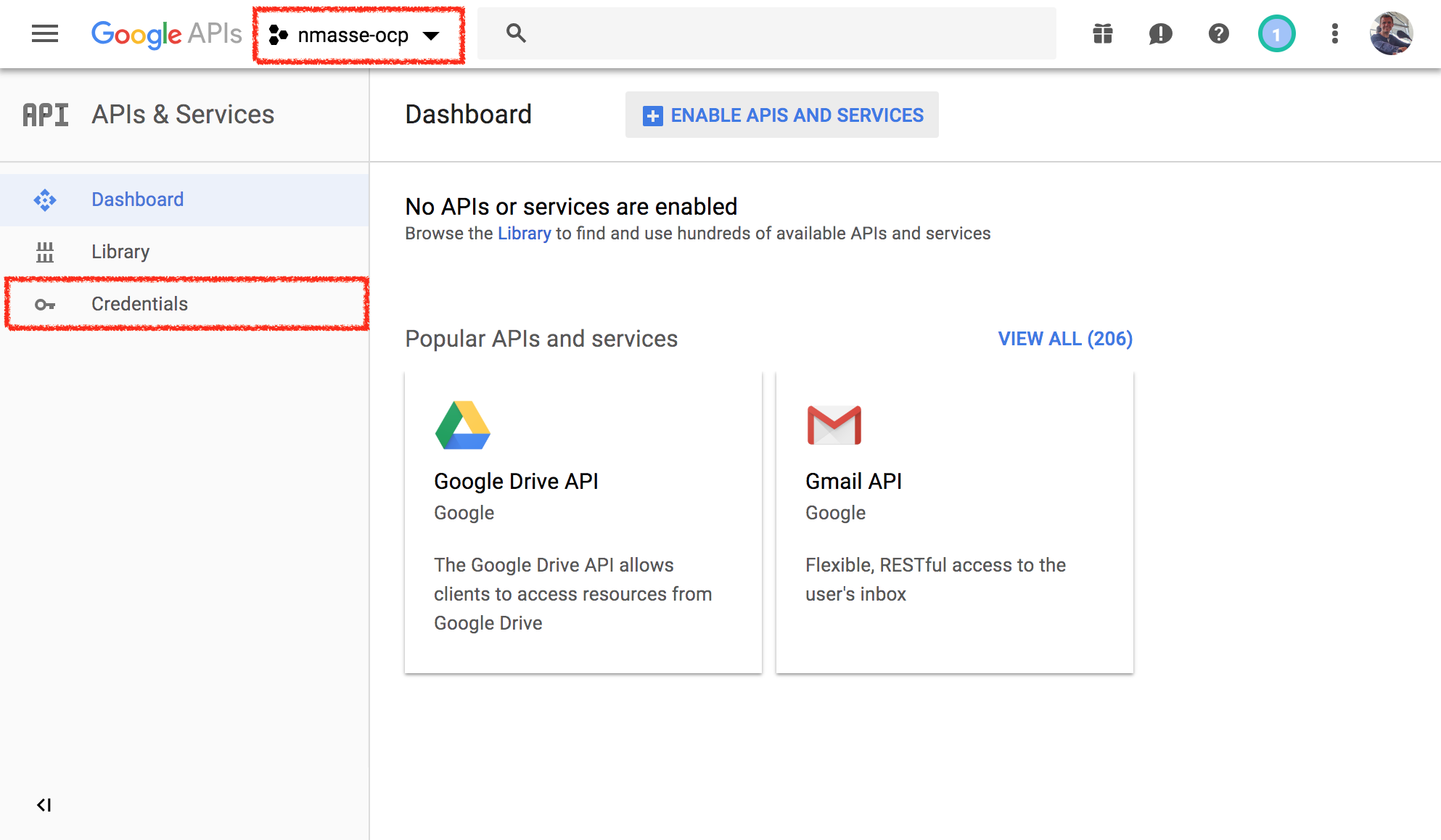 Click on credentials